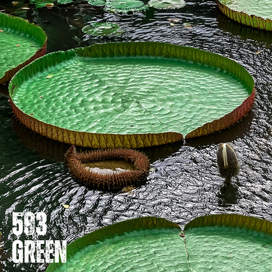 593 GREEN
